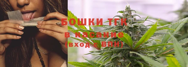 крисы Инта