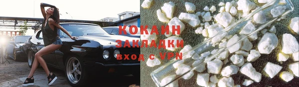 крисы Инта