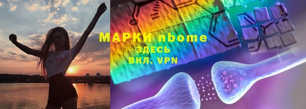 крисы Инта