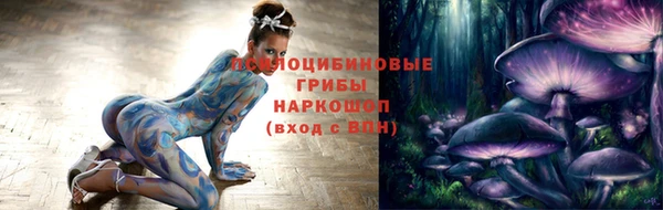 шишки Иннополис