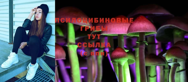 шишки Иннополис