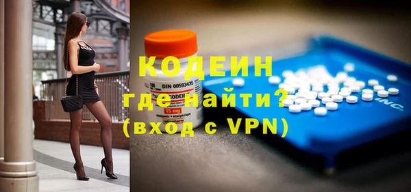 крисы Инта