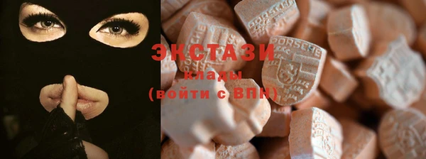 крисы Инта