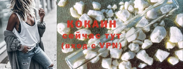 mdpv Инсар