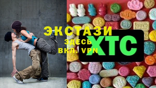 крисы Инта