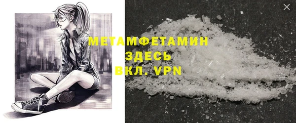 крисы Инта