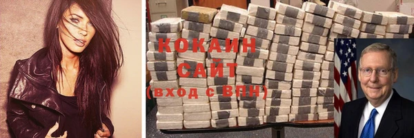 крисы Инта