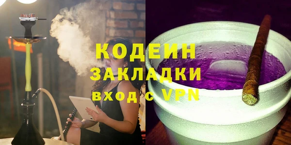 крисы Инта