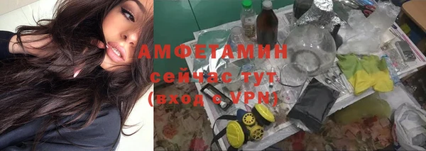 mdpv Инсар