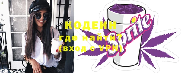шишки Иннополис