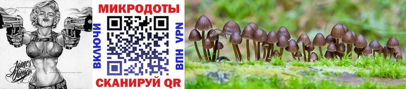 Купить  Губкин  Псилоцибиновые грибы мухоморы 